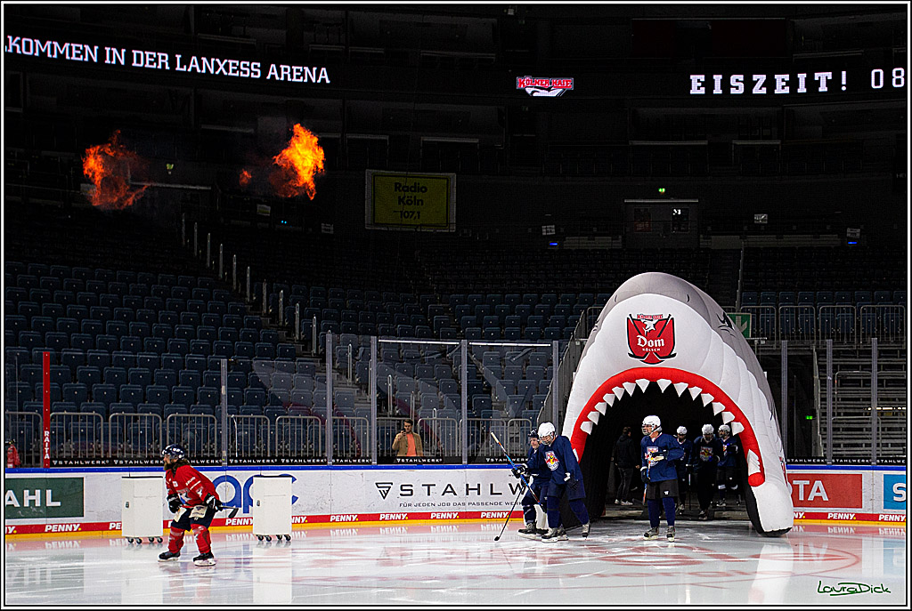 PENNY DEL; Koelner Haie- Red BUll Muenchen Sponsorenspiel; Koeln, 08.11.2022